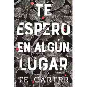 Te Espero en Algun Lugar