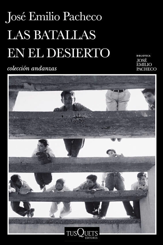 Las Batallas en El Desierto