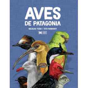 Aves De Patagonia