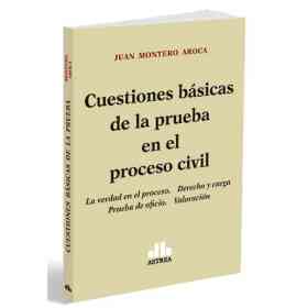 Cuestiones Basicas De La Prueba en El Proceso Civil