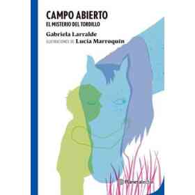 Campo Abierto - El Misterio Del Tordillo