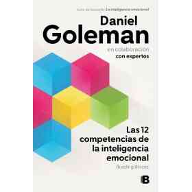Doce Competencias De La Inteligencia Emo