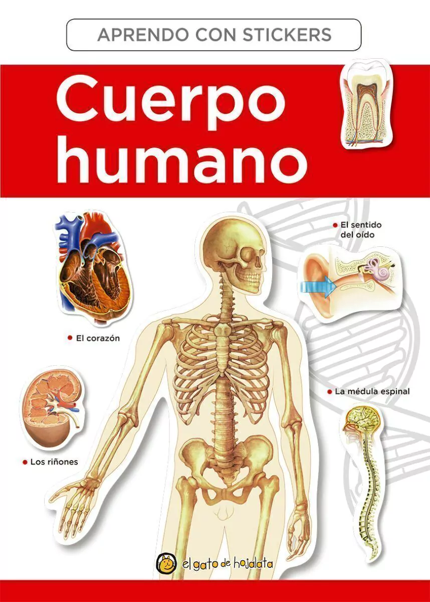 El El Cuerpo Humano