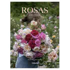 Rosas