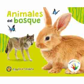 Animales Del Bosque