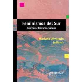 Feminismos Del Sur