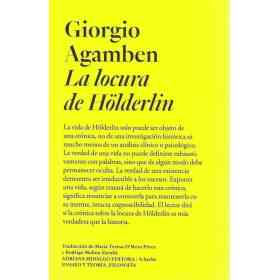 Locura De Holderlin La