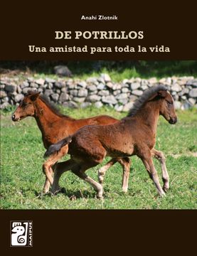 De Potrillos. Una Amistad Para Toda La Vida