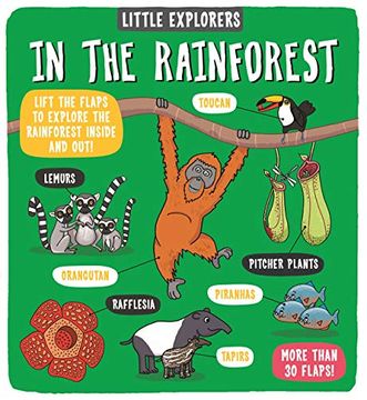 IN THE RAINFOREST