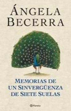 MEMORIAS DE UN SINVERGUENZA DE SIETE SUE