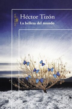 BELLEZA DEL MUNDO