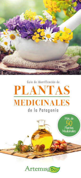PLANTAS MEDICINALES DE LA PATAGONIA