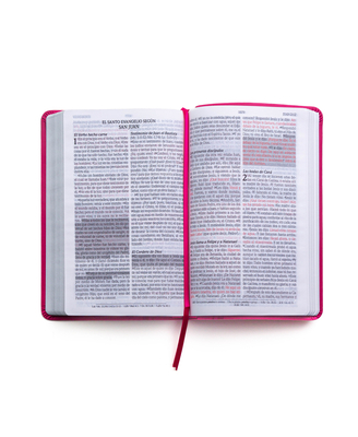 SANTA BIBLIA PROMESAS LETRA G FUCSIA