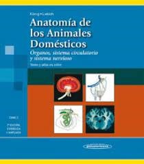 Anatomia De Los Animales Domesticos Tomo 2 Organos Sistema Circulatorio Y Sistema Nervioso (Ampliada