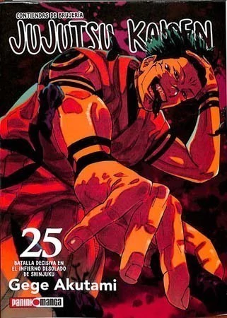 JUJUTSU KAISEN 25