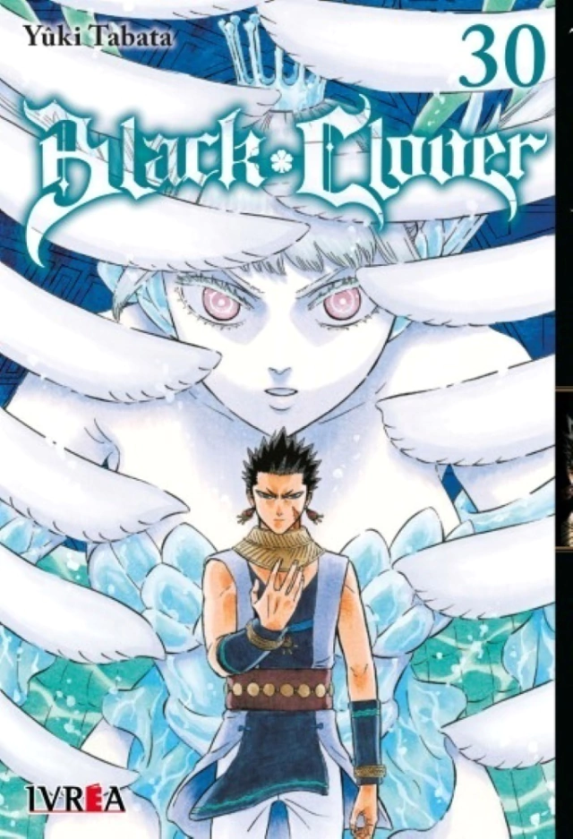 Black Clover 30