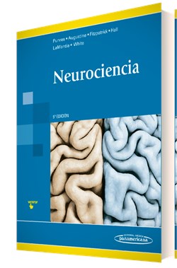 NEUROCIENCIA 5TA.EDICION