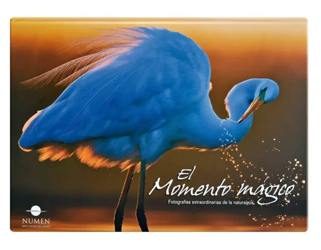 Momento Magico El