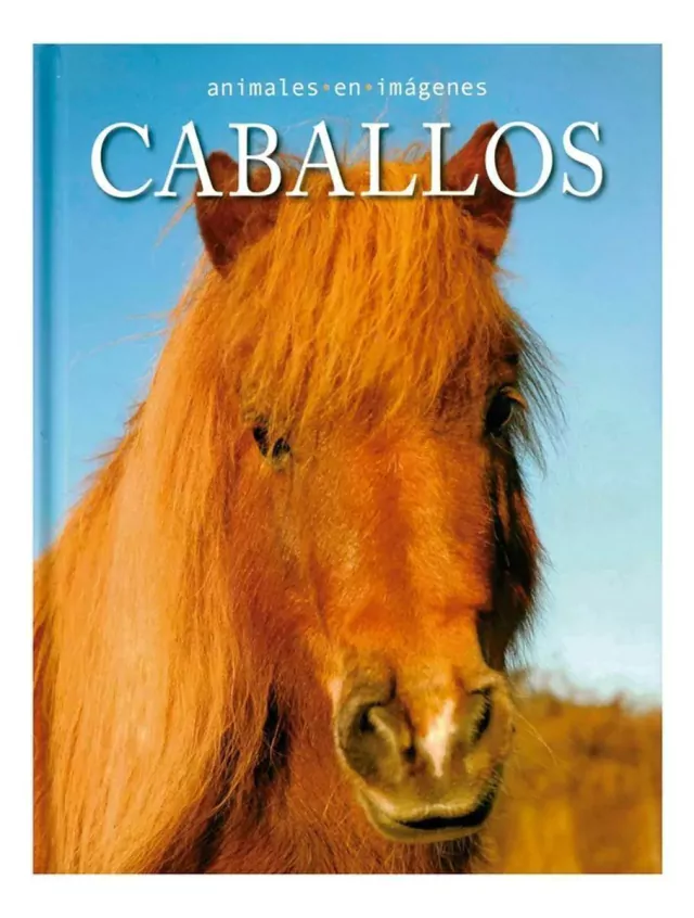 ANIMALES EN IMAGENES - CABALLOS