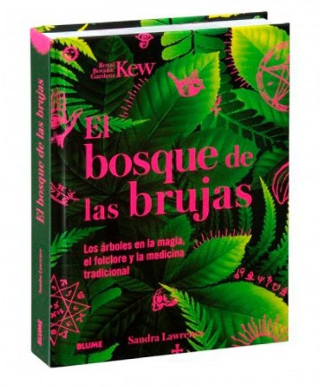 BOSQUE DE LAS BRUJAS