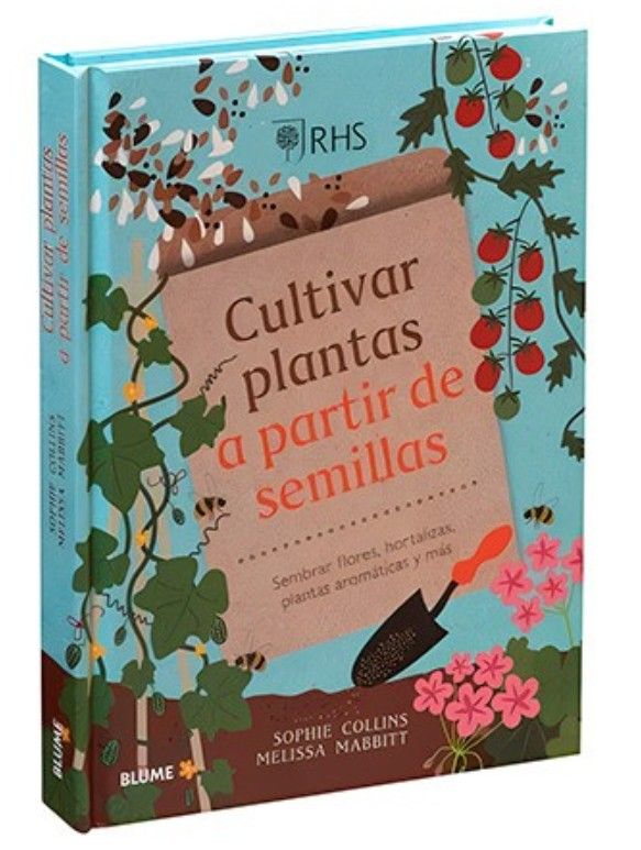 CULTIVAR PLANTAS A PARTIR DE SEMILLAS