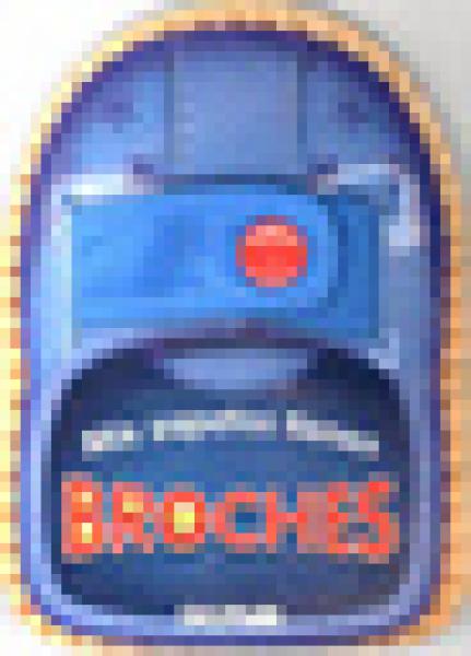 BROCHES - COL. MIS ZAPATOS TIENEN