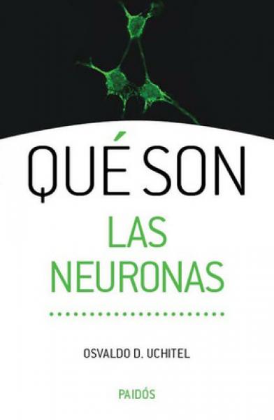 QUE SON LAS NEURONAS
