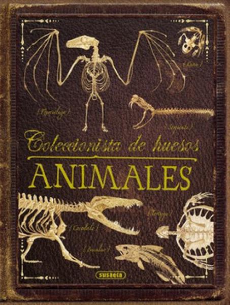 COLECCION DE HUESOS - ANIMALES