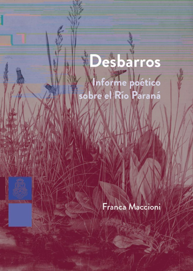 Desbarros