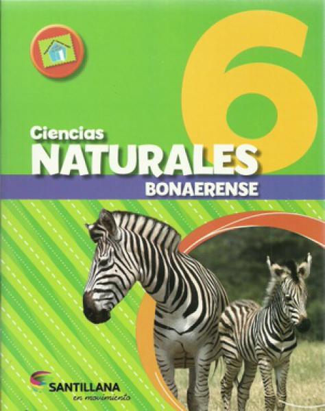 CIENCIAS NATURALES 6 BONAERENSE EN MOVIMIENTO *