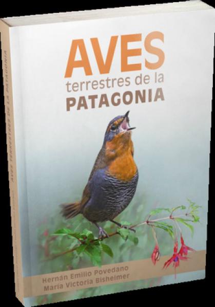 AVES TERRESTRES DE LA PATAGONIA